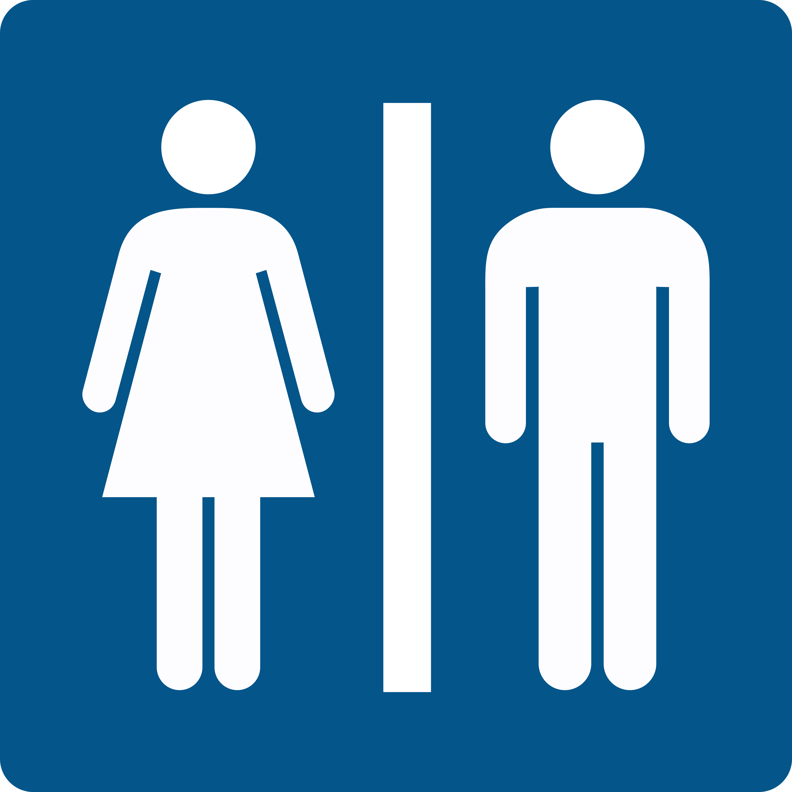 Европейские туалеты опасны для россиян Европейские туалеты опасны для россиян