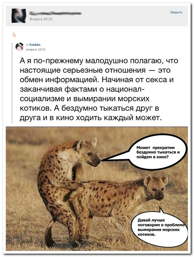 Смешные комментарии из социальных сетей