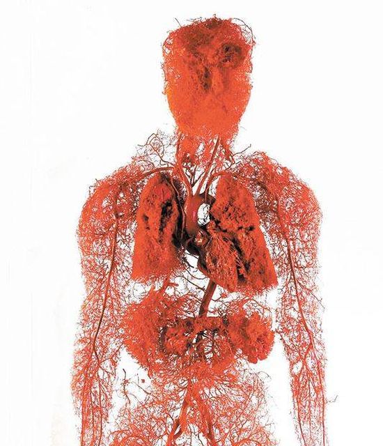 Любопытные факты обо всем на свете