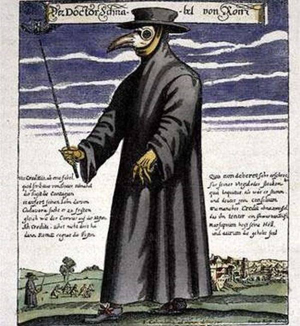 Любопытные факты обо всем на свете