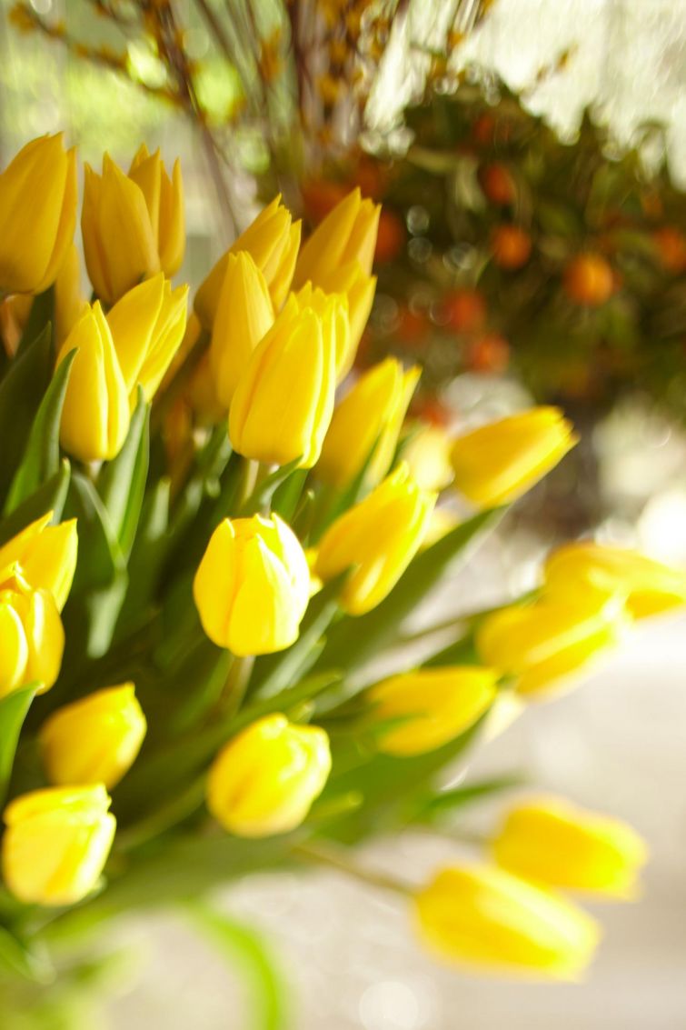 Застольный этикет: 20 дурных манер разных стран мира, которые стоит знать каждому