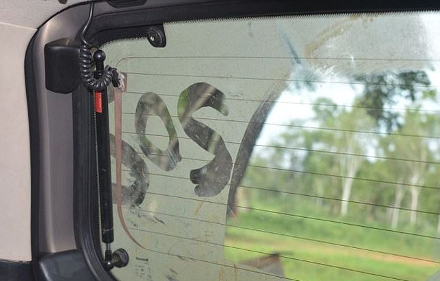 Туристы провели ночь на крыше авто, спасаясь от крокодилов