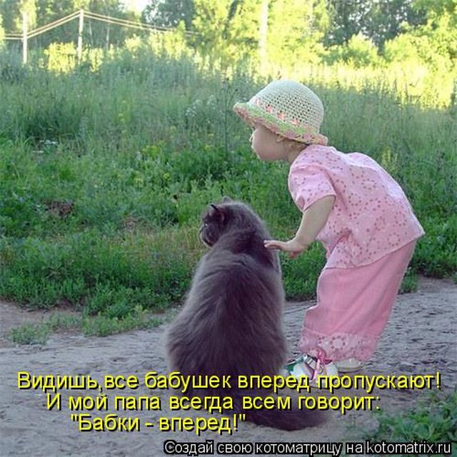 Лучшие котоматрицы недели