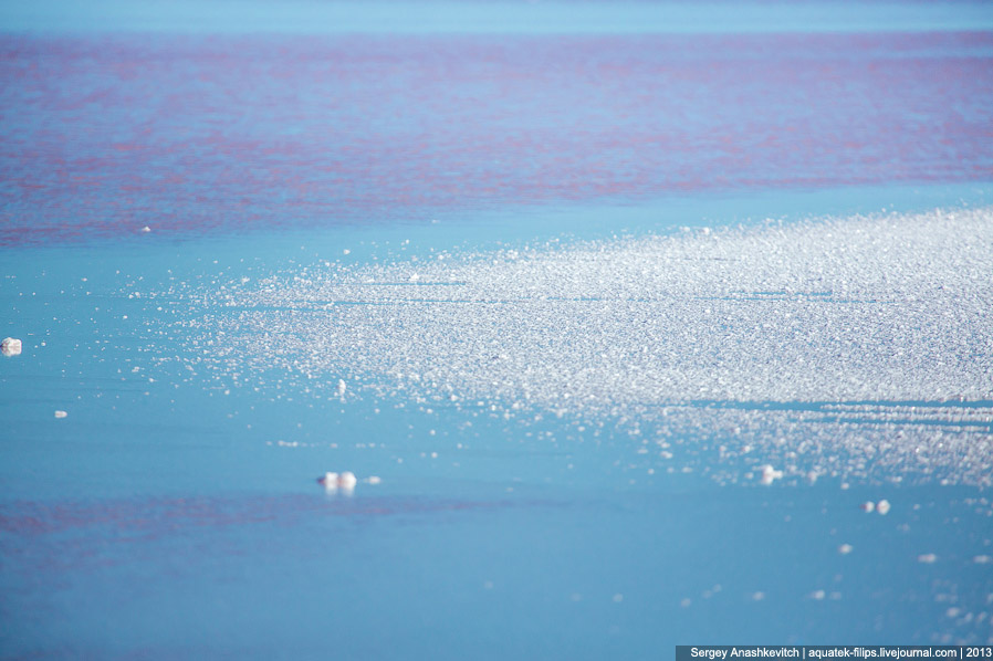 Соляные пустыни Крыма Соляные пустыни Крыма