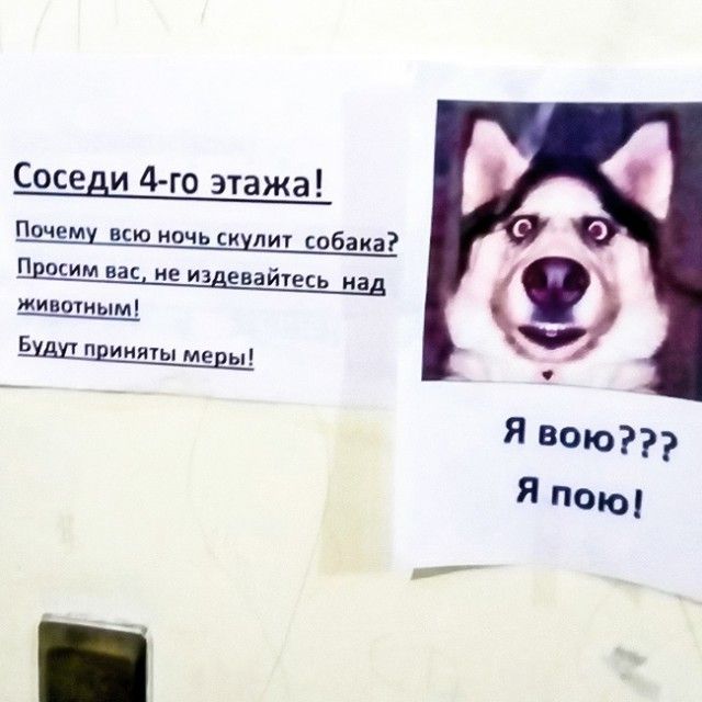 В нашем доме поселился замечательный сосед