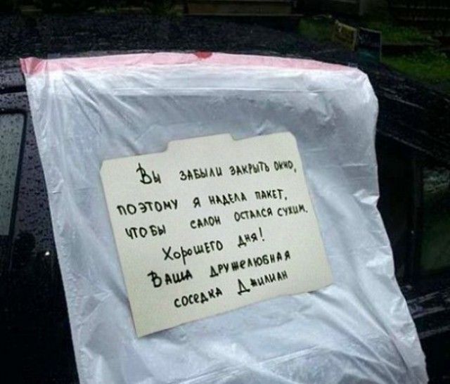 В нашем доме поселился замечательный сосед