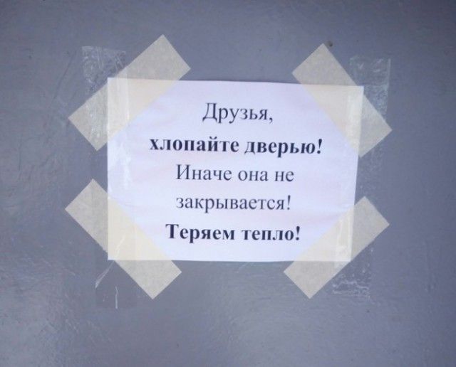 В нашем доме поселился замечательный сосед