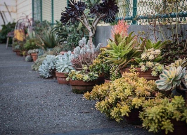 В нашем доме поселился замечательный сосед