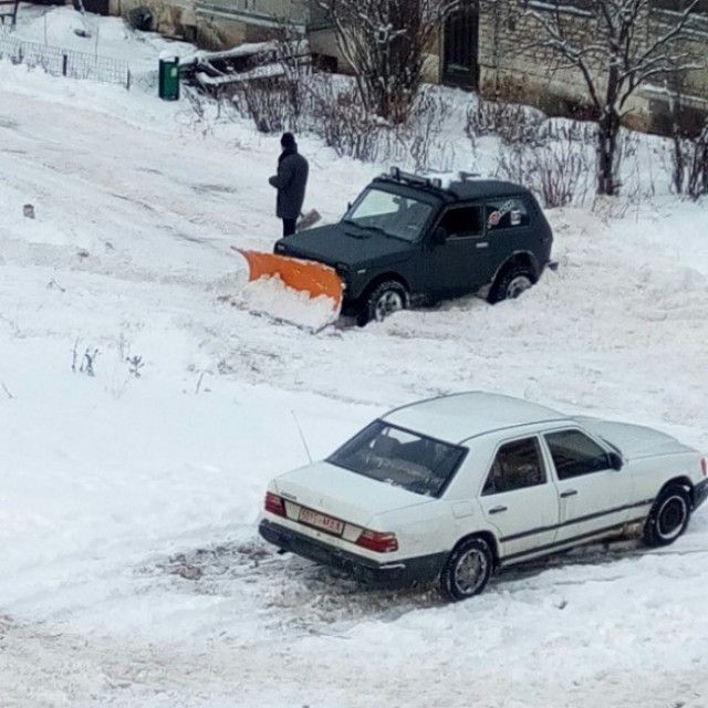 В нашем доме поселился замечательный сосед