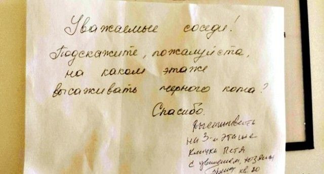 В нашем доме поселился замечательный сосед