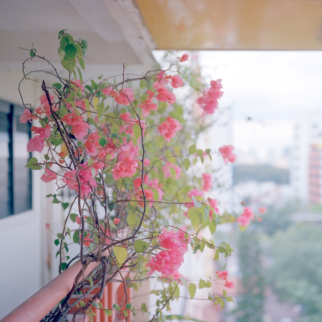 «Сингапур»: Спальные районы самого яркого города Азии