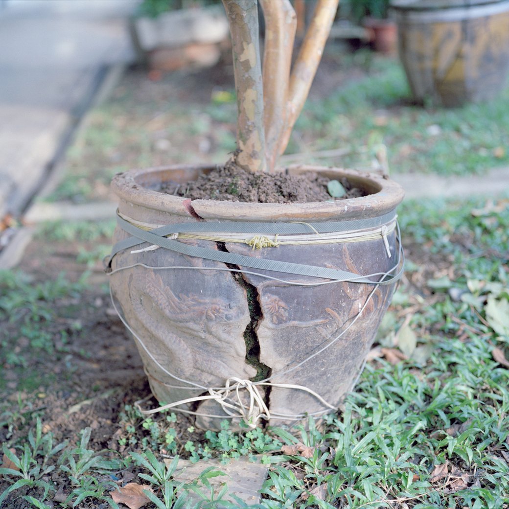 «Сингапур»: Спальные районы самого яркого города Азии