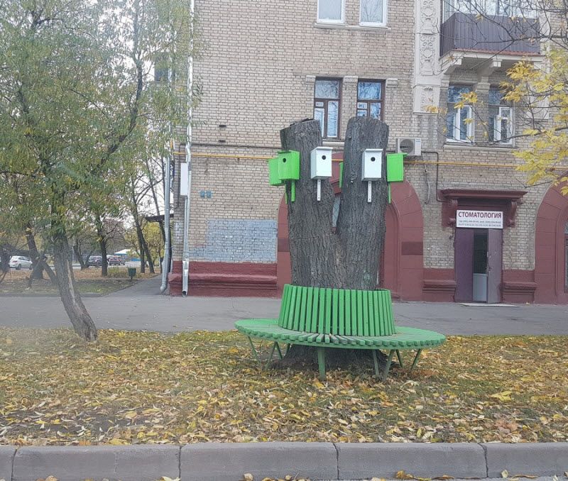 Удивительные снимки с российских просторов