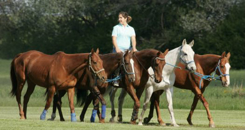 Интересные факты о «короле спорта» – конном поло