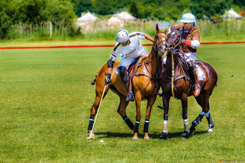Интересные факты о «короле спорта» – конном поло