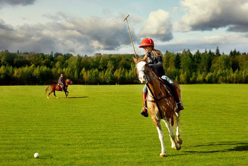 Интересные факты о «короле спорта» – конном поло