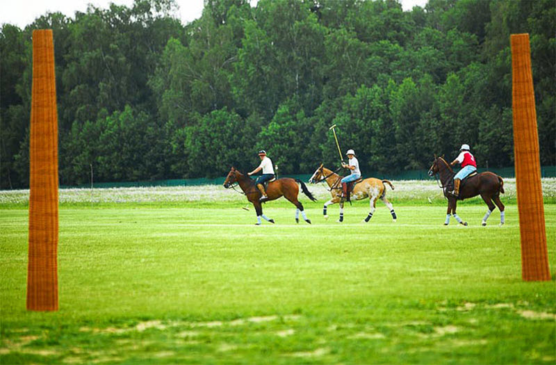 Интересные факты о «короле спорта» – конном поло