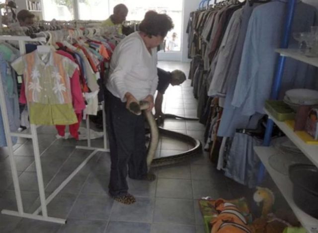 Странные и необычные фото с австралийских просторов