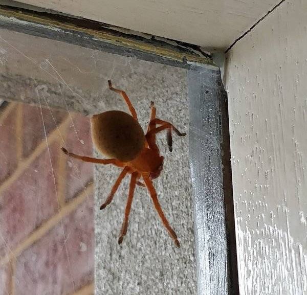 Странные и необычные фото с австралийских просторов