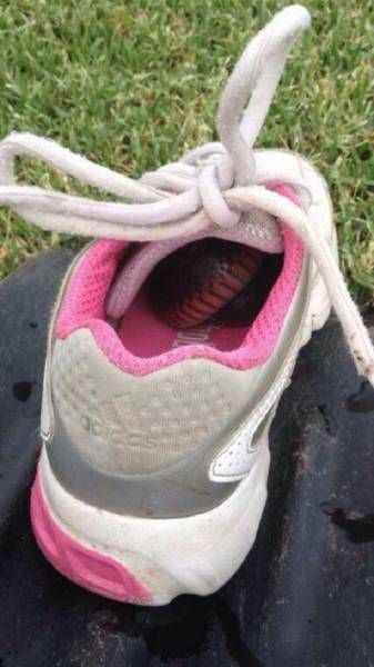 Странные и необычные фото с австралийских просторов