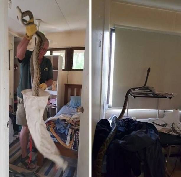 Странные и необычные фото с австралийских просторов