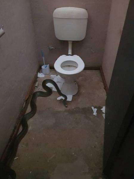 Странные и необычные фото с австралийских просторов