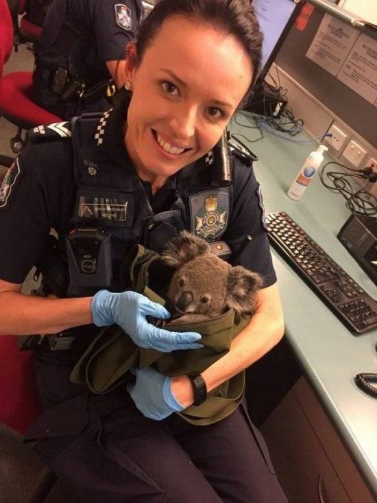 Странные и необычные фото с австралийских просторов