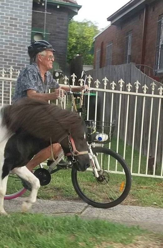 Странные и необычные фото с австралийских просторов