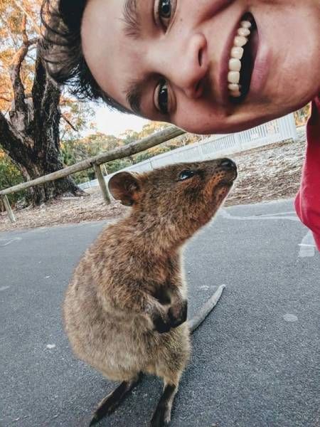 Странные и необычные фото с австралийских просторов