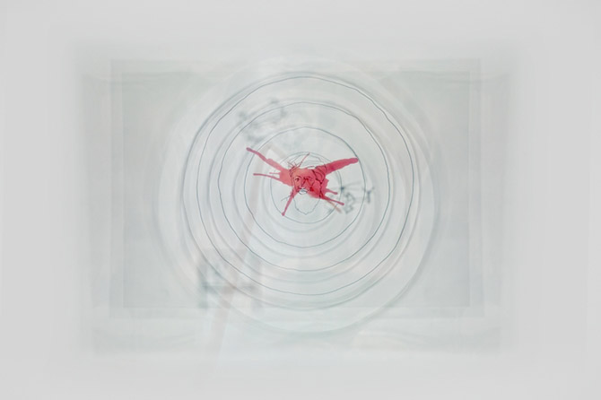 Каково это — убить Усаму бен Ладена