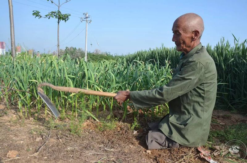 Безногий фермер всю жизнь обеспечивал семью, занимаясь сельским хозяйством