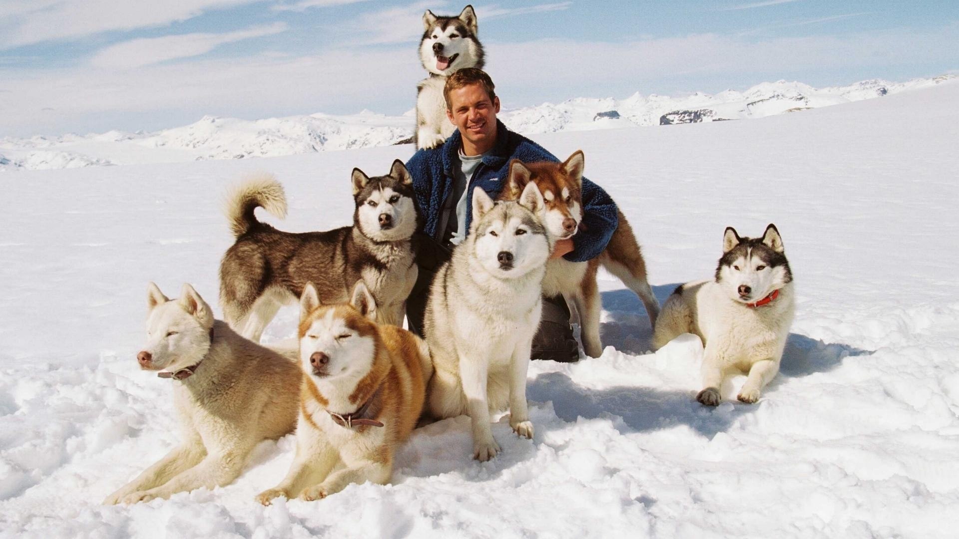 Трагедия, ставшая сюжетом фильма