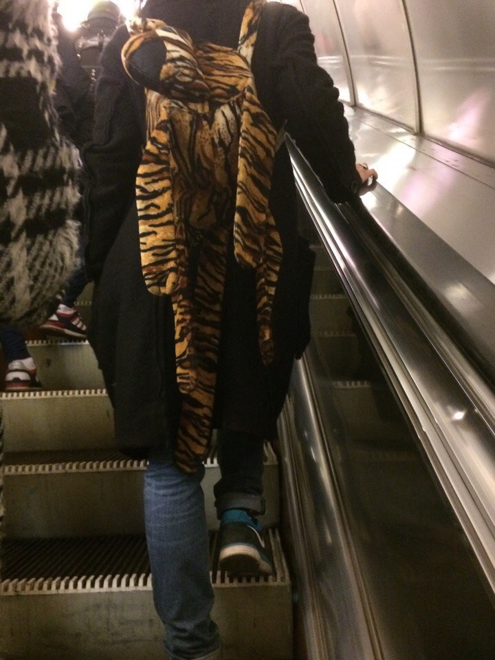 Модники из метрополитена