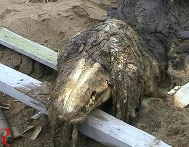 Самые необычные паранормальные явления в России