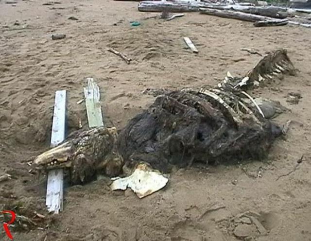 Самые необычные паранормальные явления в России