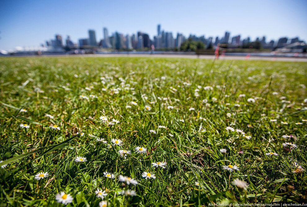 Аляска Аляска