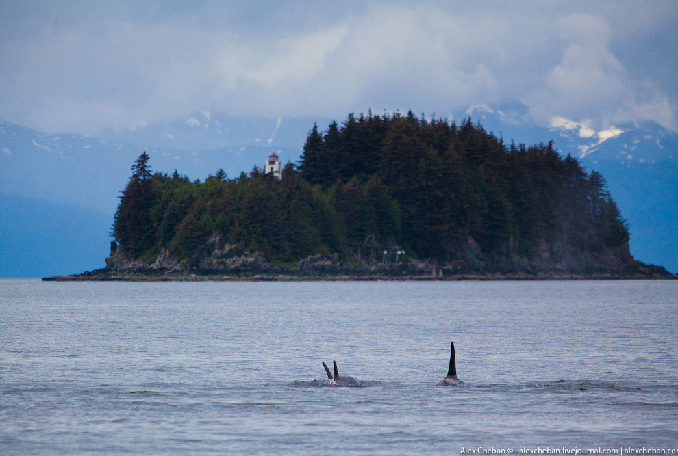 Аляска Аляска