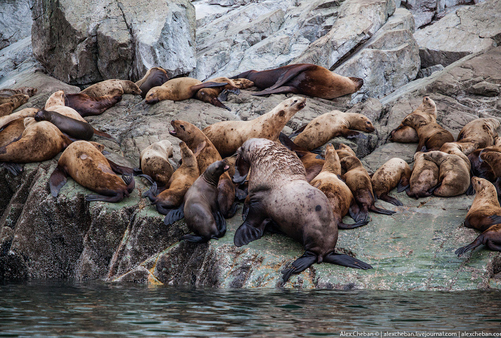 Аляска Аляска