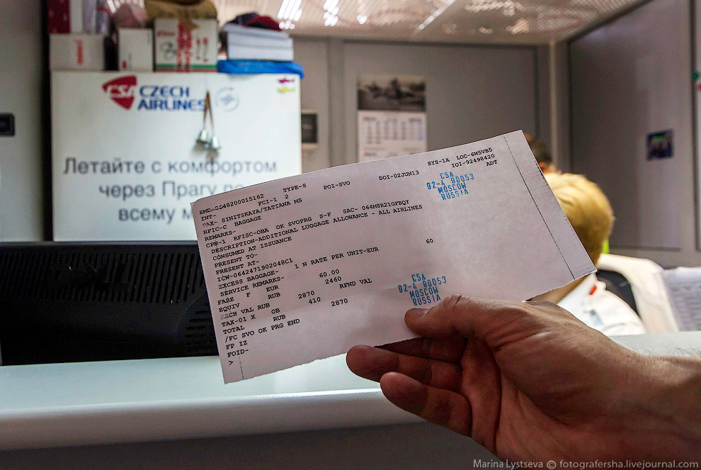 Познавательно: перевозка животных в самолете