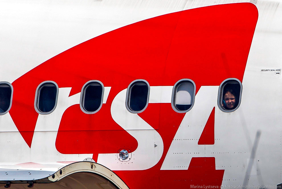 Познавательно: перевозка животных в самолете