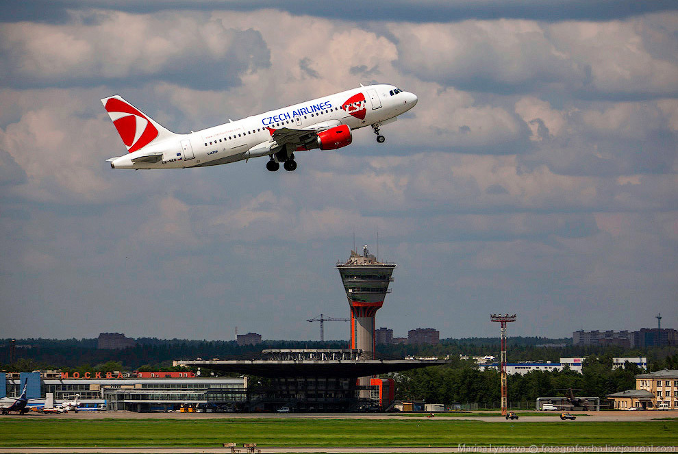 Познавательно: перевозка животных в самолете
