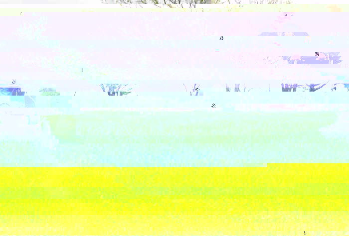 Проверенные способы упростить жизнь при помощи Интернета