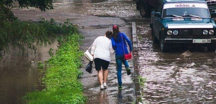 Друзья в беде не бросят