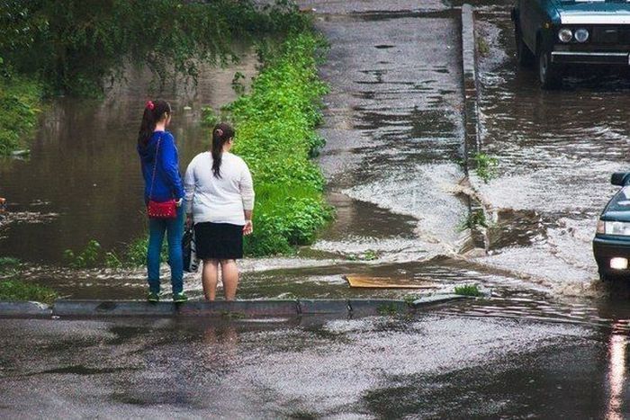 Друзья в беде не бросят