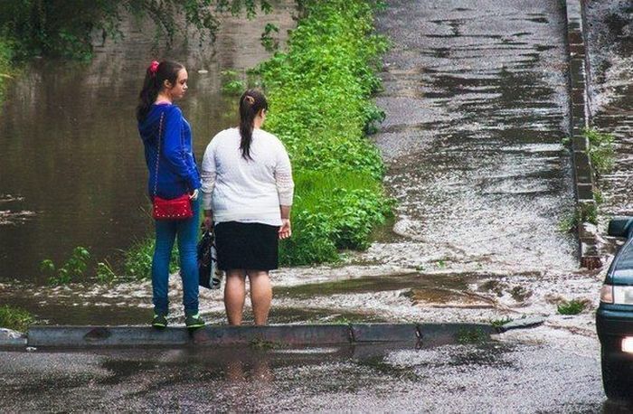 Друзья в беде не бросят