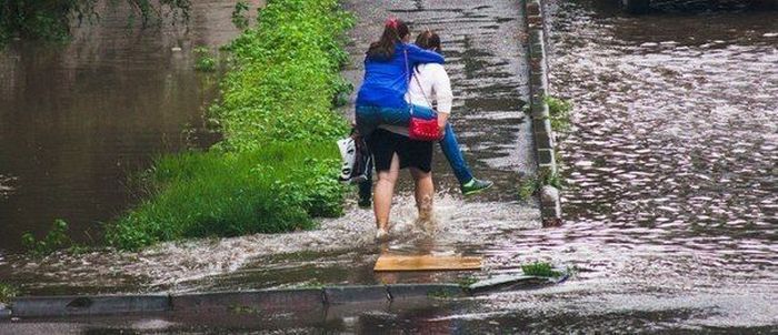 Друзья в беде не бросят