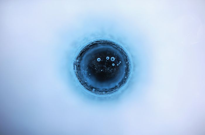 Гренландия