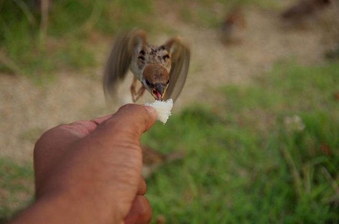 В нужный момент