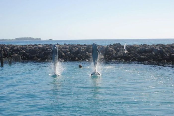 В нужный момент