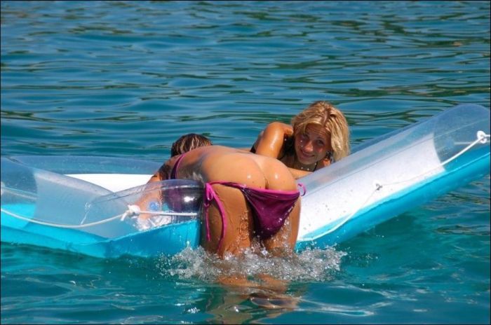 Прикольные картинки